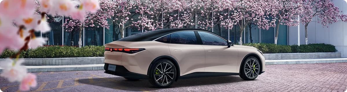 Rosa exterior