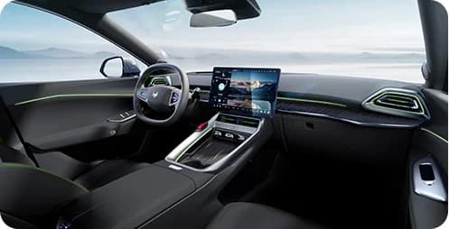 Negro interior